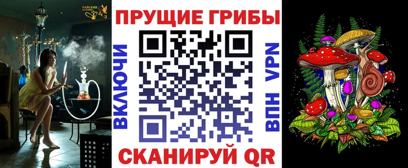 где купить   Ак-Довурак  Псилоцибиновые грибы MAGIC MUSHROOMS 